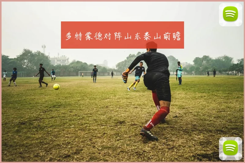 多特蒙德对阵山东泰山前瞻