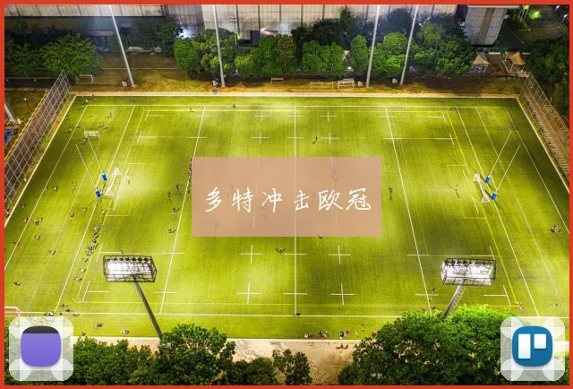 多特冲击欧冠