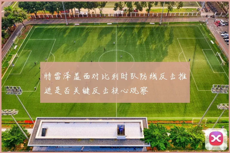 特雷泽盖面对比利时队防线反击推进是否关键反击核心观察