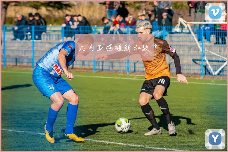 几内亚强碰新加坡