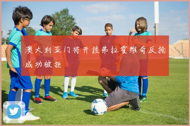 澳大利亚门将开挂弗拉霍维奇反抢成功被拒