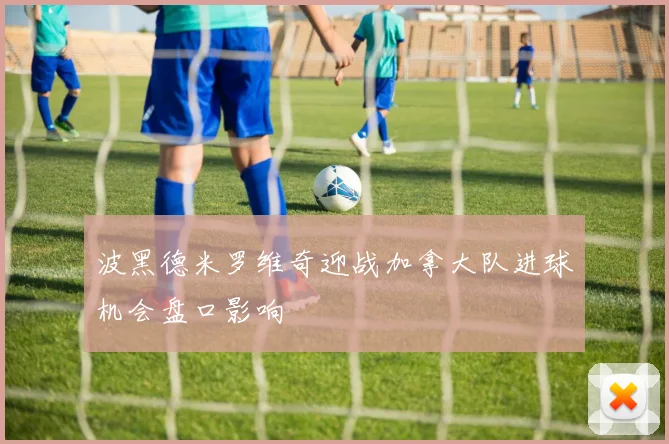 波黑德米罗维奇迎战加拿大队进球机会盘口影响