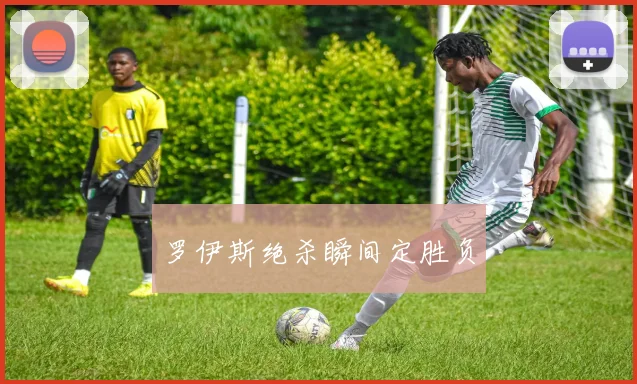 罗伊斯绝杀瞬间定胜负