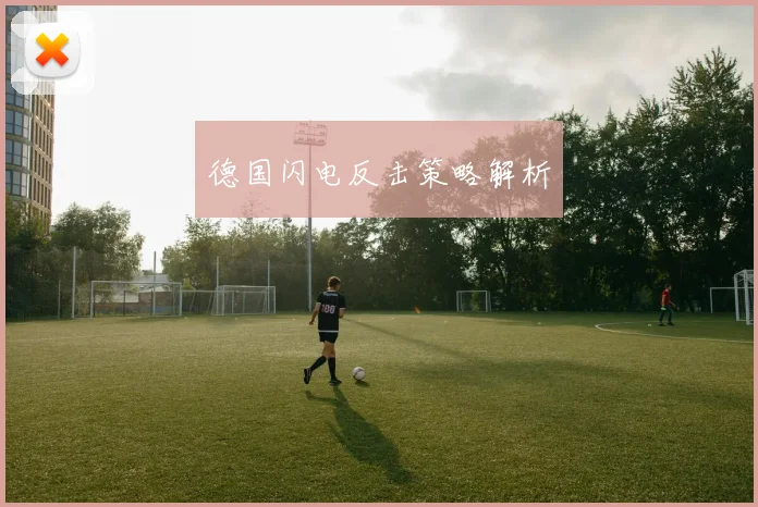 德国闪电反击策略解析