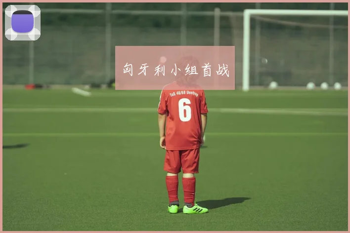 匈牙利小组首战