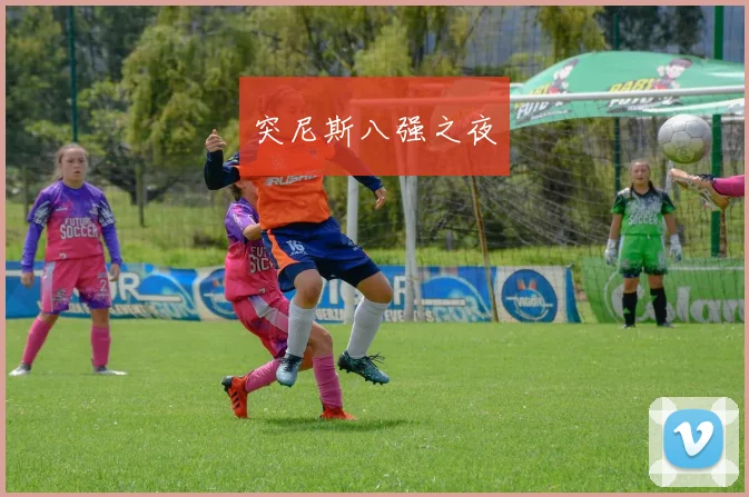 突尼斯八强之夜