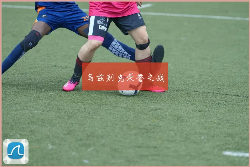乌兹别克荣誉之战
