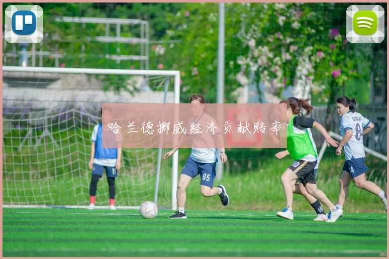 哈兰德挪威经济贡献赔率